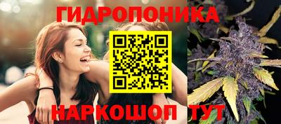 ECSTASY Краснознаменск