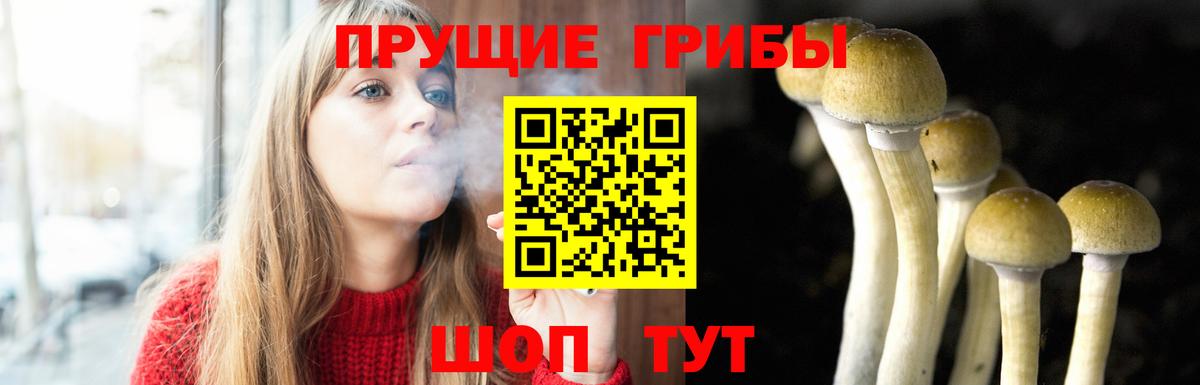 Псилоцибиновые грибы MAGIC MUSHROOMS  Вход с VPN  Елизово  Псилоцибиновые грибы Magic Shrooms 